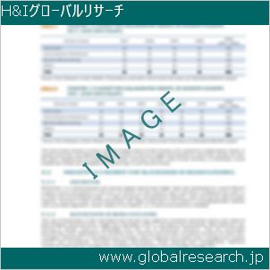 グローバルリサーチ調査レポートのイメージ